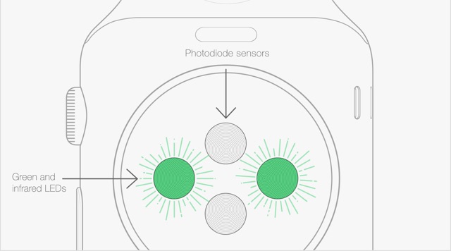 apple-watch-sensors