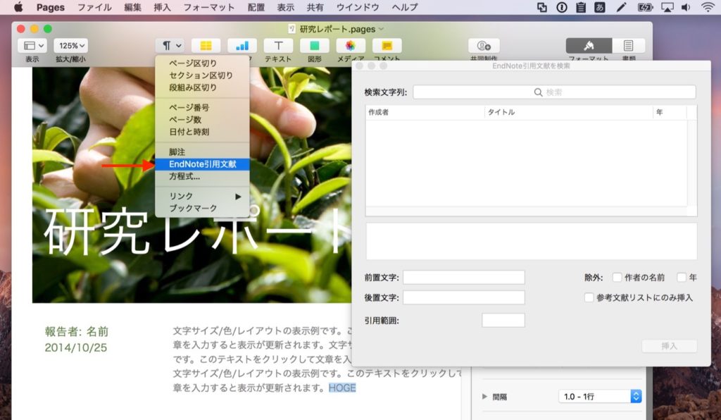 Apple Mac版pages V6 2以降でendnoteからの引用 参考文献リストを挿入するためのプラグインを公開 pl Ch