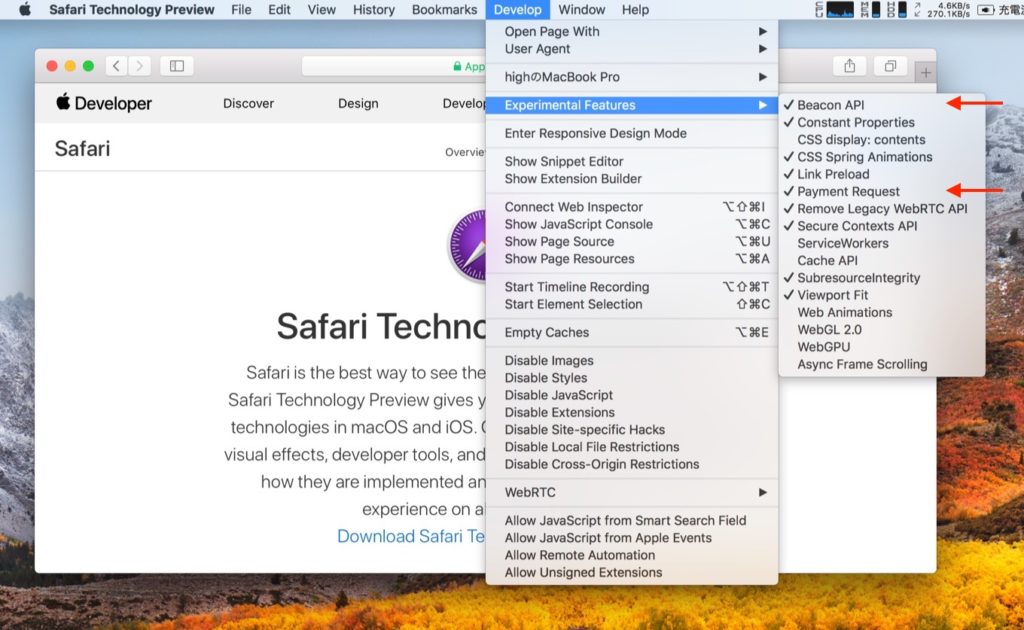 Safari Technology Preview 38のPayment Request API