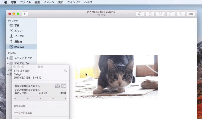 macOS 10.13 High Sierraの写真アプリで可能になったGIFアニメプレビュー