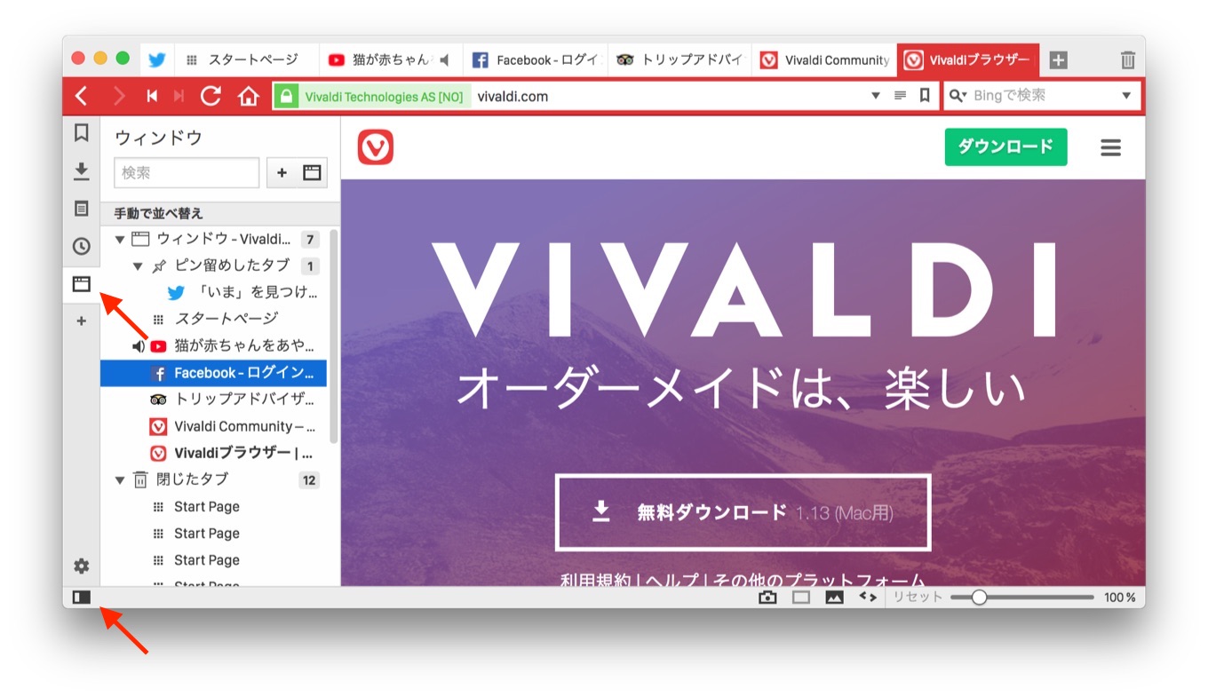 Vivaldi v1.13のウィンドウパネル