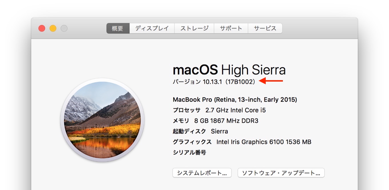 macOS 10.13.1 Build 17B1002