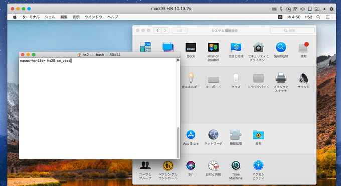 macOS 10.13 High SierraのApp Storeのシステム環境設定パネルで任意のパスワードを入力