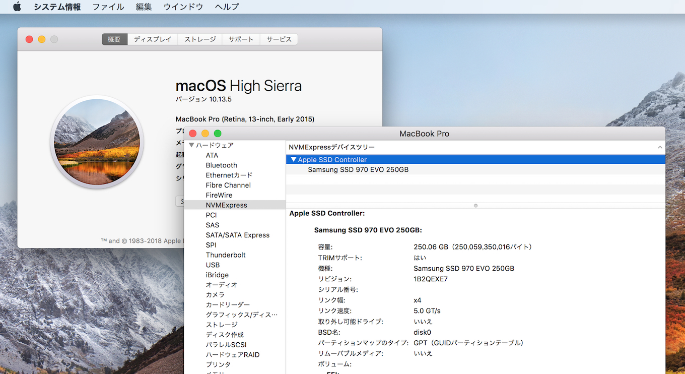 MacBook Pro 13-inchでのSamsung 970 EVOプロファイル