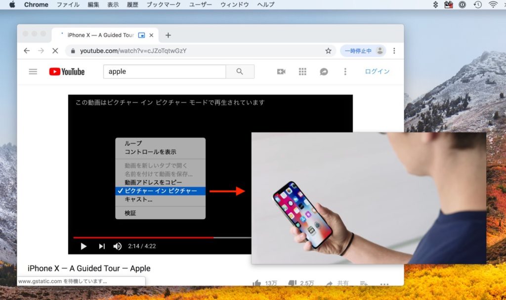 Google Chrome v69でYouTubeなどのvideo要素をPictureinPicture再生する方法。 AAPL Ch.