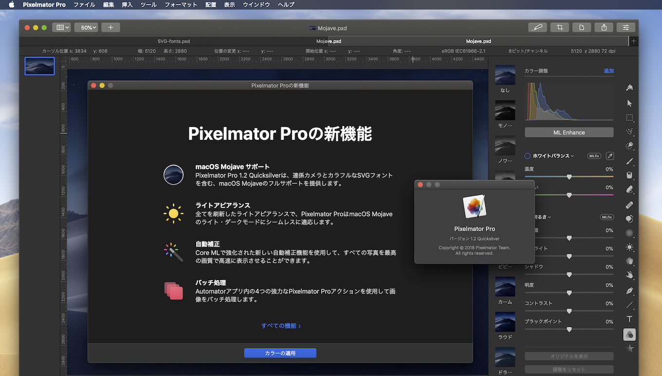 Pixelmator Pro 1.2 Quicksilverの新機能