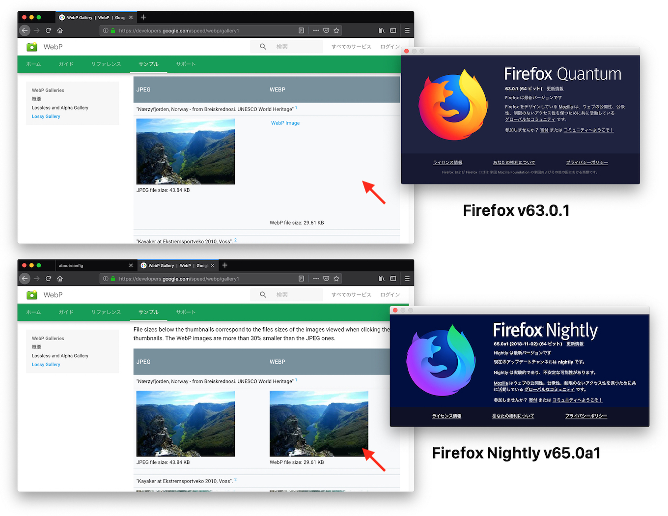 Firefox Nightly v65でWebP