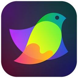 Belight ベクターグラフィックス アプリ Amadine For Mac をリリース トライアル版も公開 pl Ch