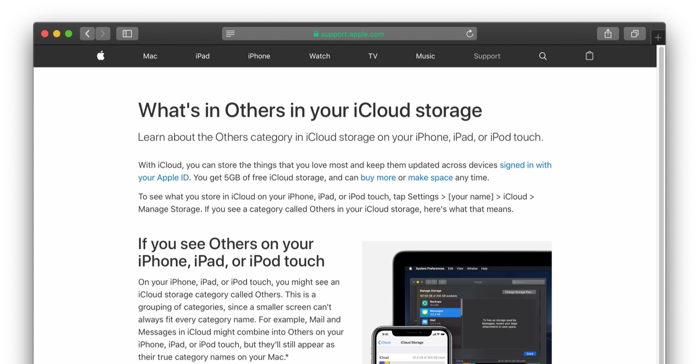 What's in Others in your iCloud storage