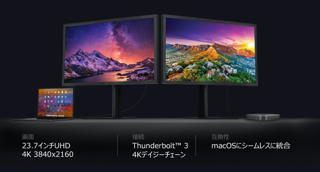 LG UltraFine 4K Display 24MD4KL-B