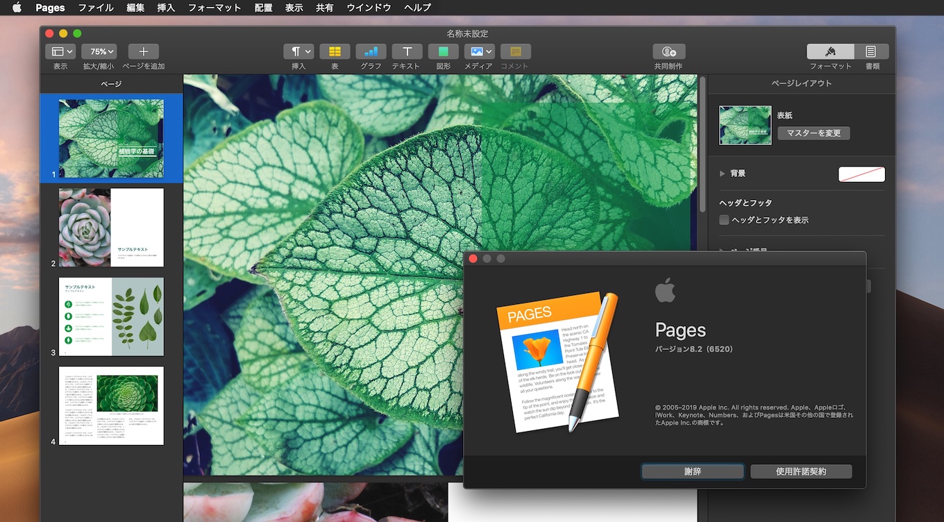 Pages for Mac v8.2