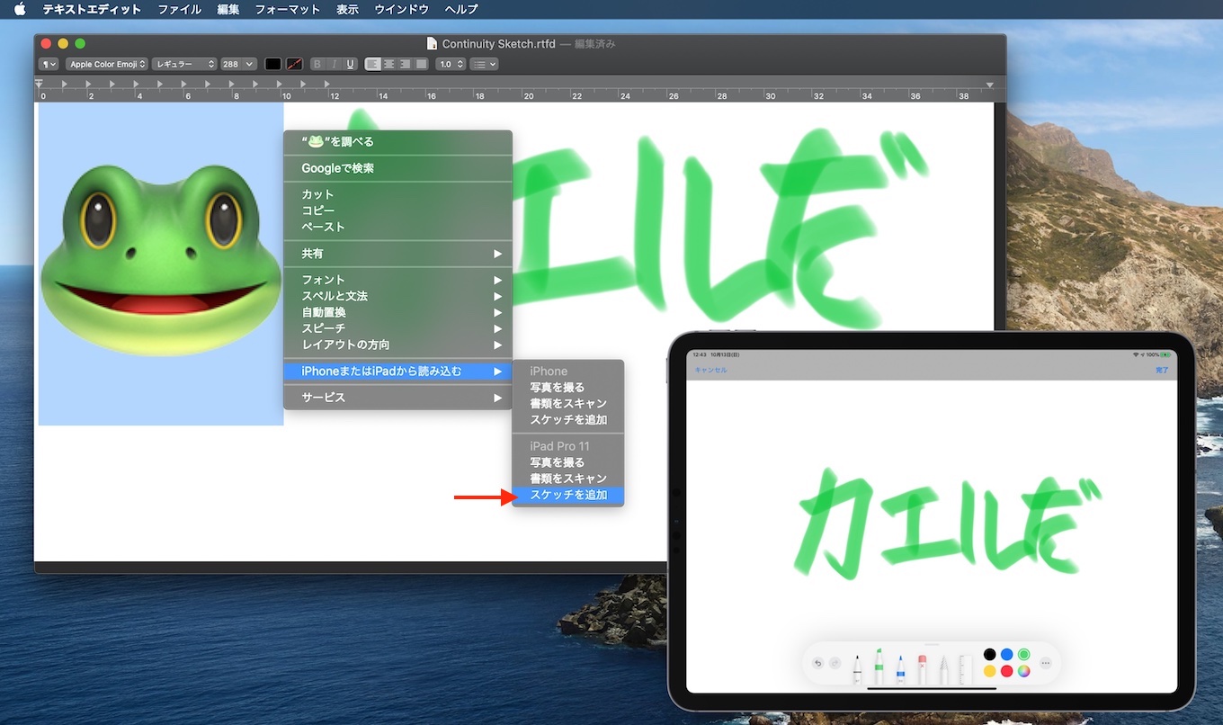 macOS 10.15 CatalinaではContinuity機能が強化され、iPadで書いた署名や描いたものをリアルタイムでMacアプリに