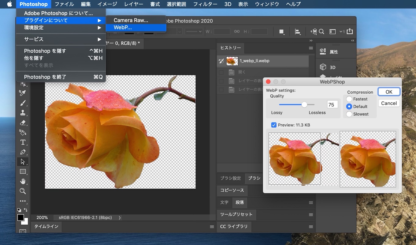 Adobe PhotoshopでWebPフォーマットを保存