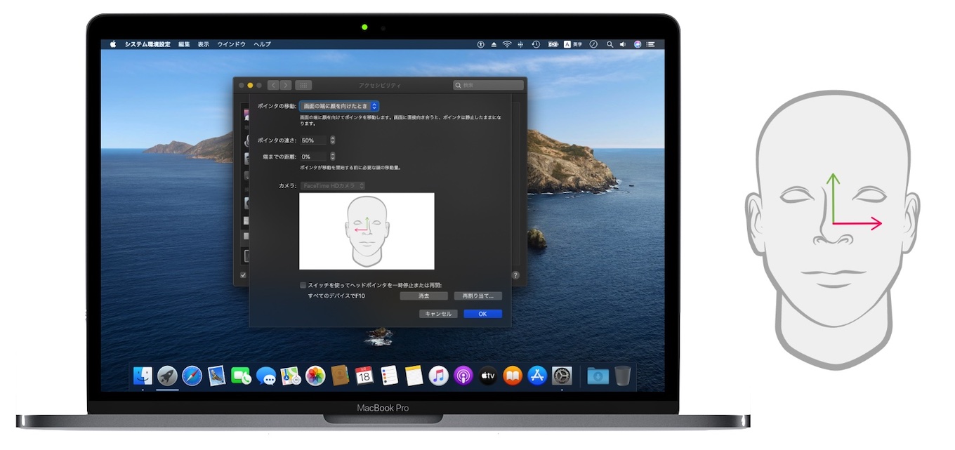 macOS 10.15 Catalina Accessibility head pointer