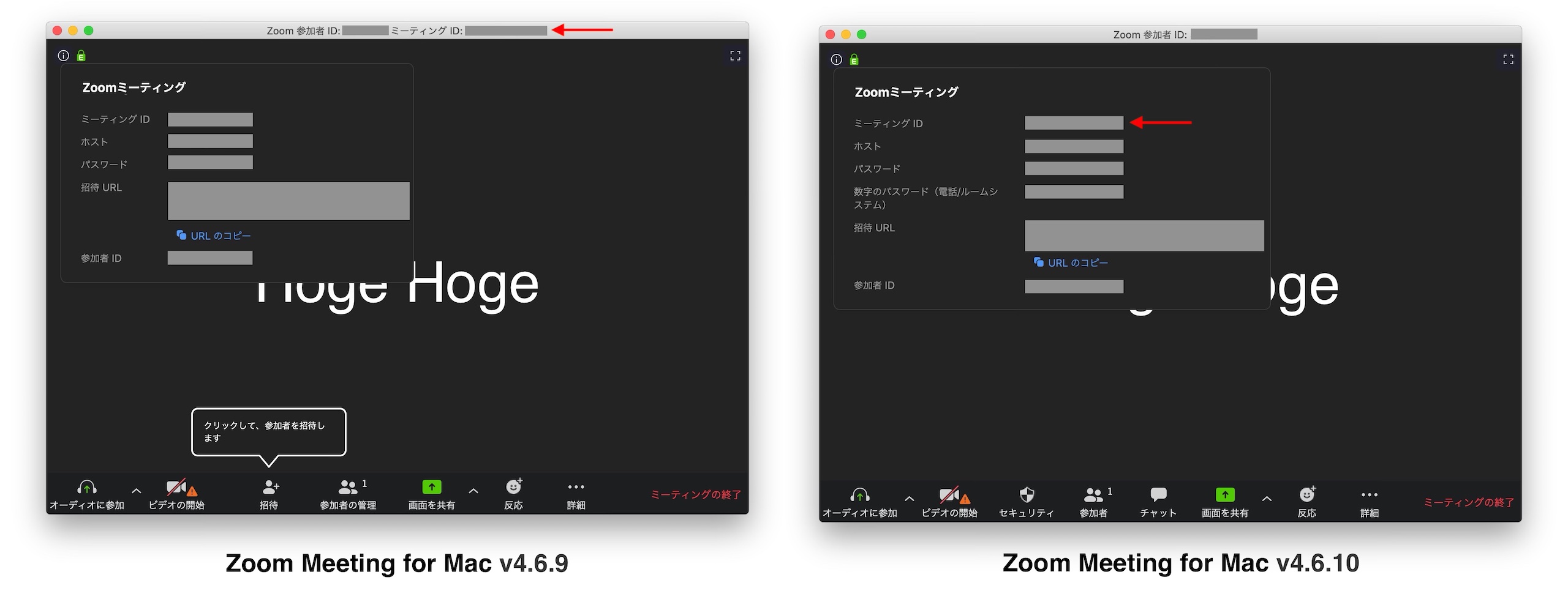Zoom Meeting v4.6.10