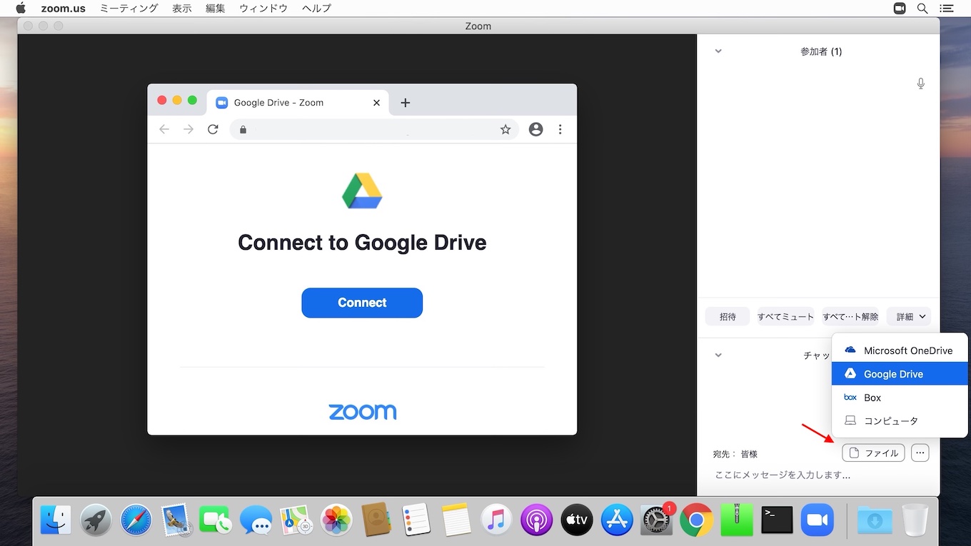 Zoom for Mac  4.6.11 20559.0413