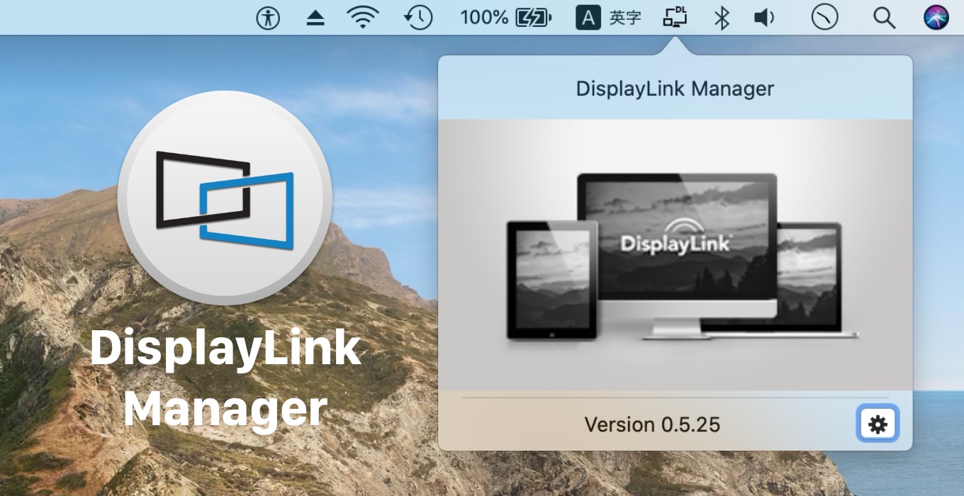 DisplayLink Manager
