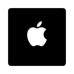 Sign in with Apple icon