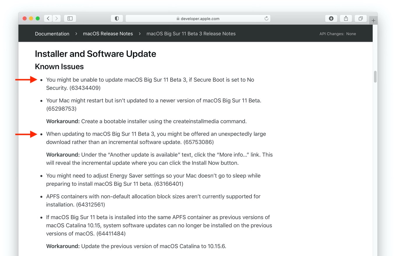 macOS 11 Big SurのInstaller and Software Update問題