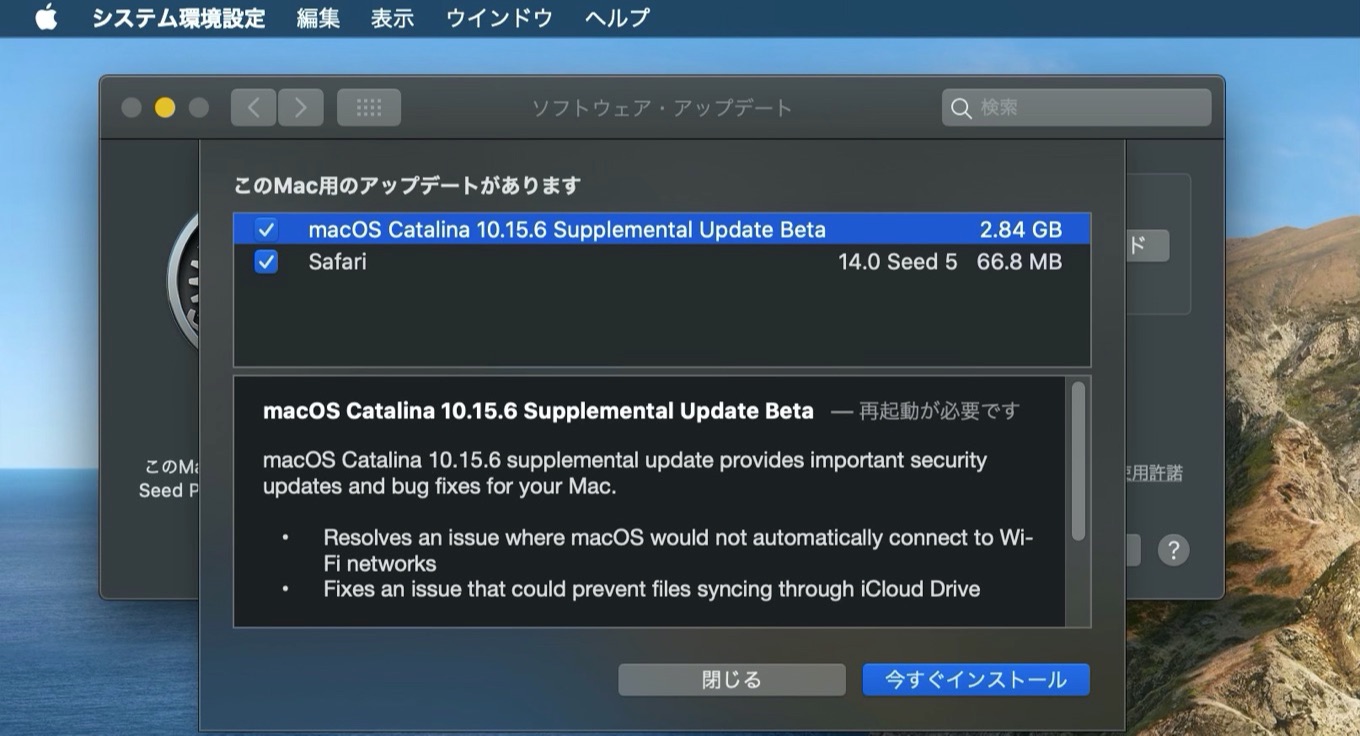 macOS Catalina 10.15.6 (19G2531)のSupplemental Update Beta