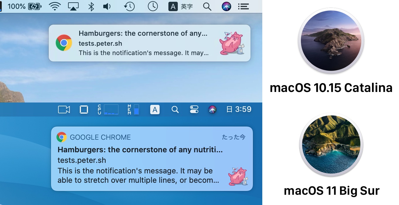 macOS 10.15 CatalinaとmacOS 11 Big Surの通知