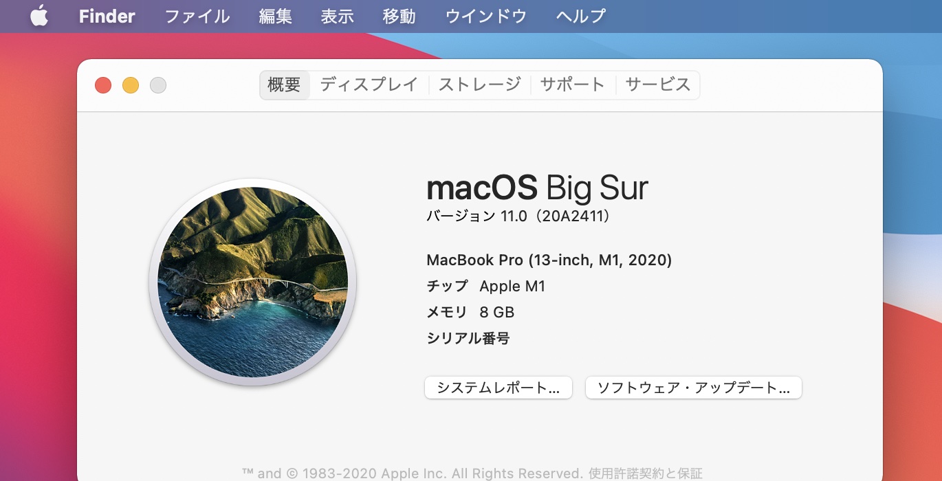 macOS Big Sur 11.0 20A2411