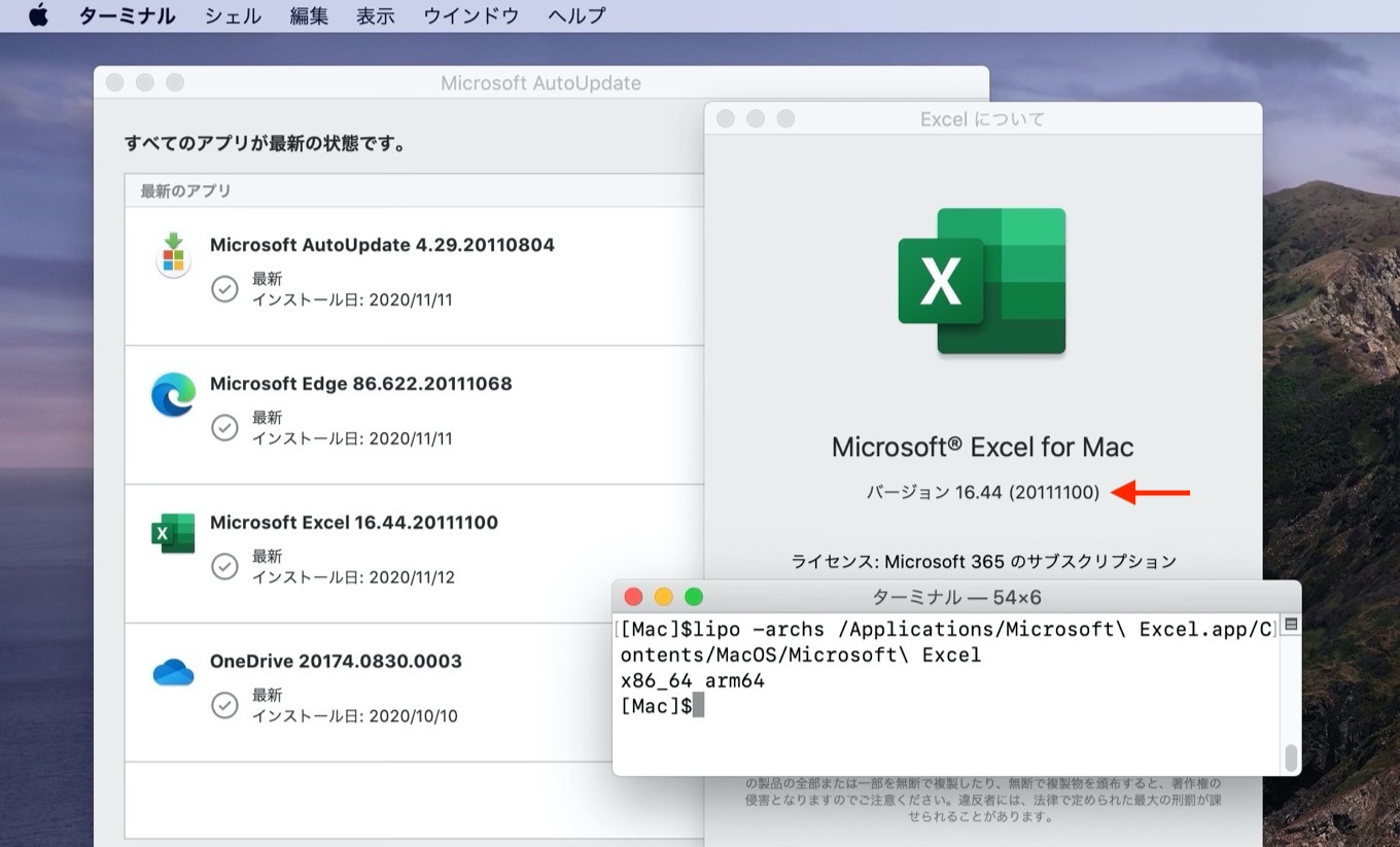 Excel for Mac universal