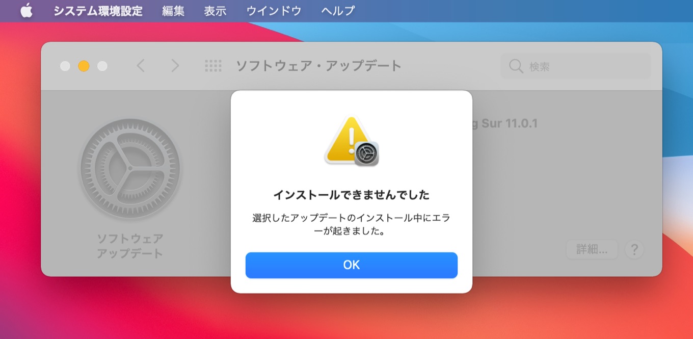 macOS 11 Big Sur software download error