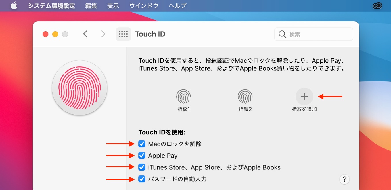 macOS 11 1 Big Sur Touch ID and iCloud issues