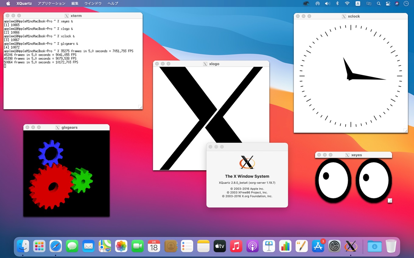 XQuartz 2.8.0 beta4 on Apple Silicon Mac