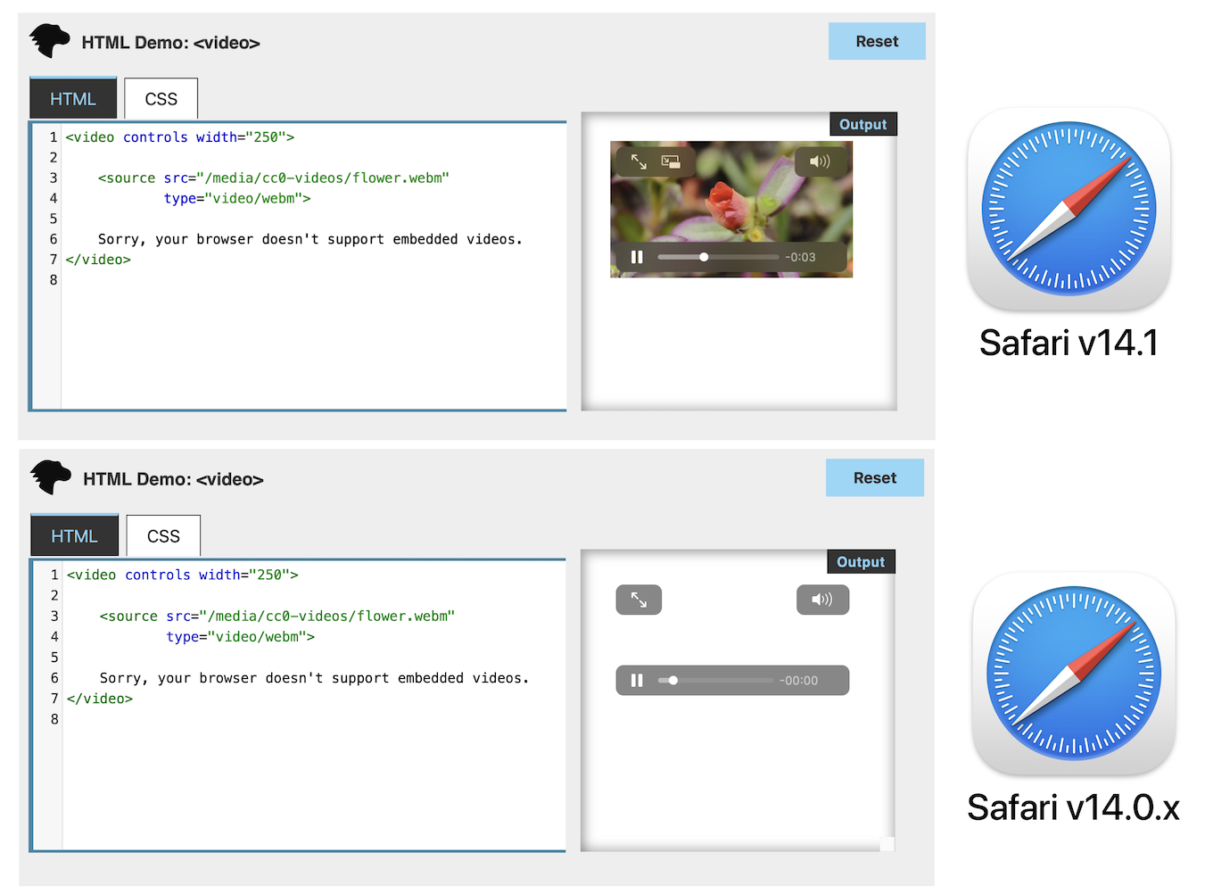 Video/WebM support Safari 14.1
