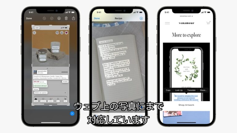  macOS Ventura および Monterey 用の Safari 17 ベータ版をダウンロードする方法
