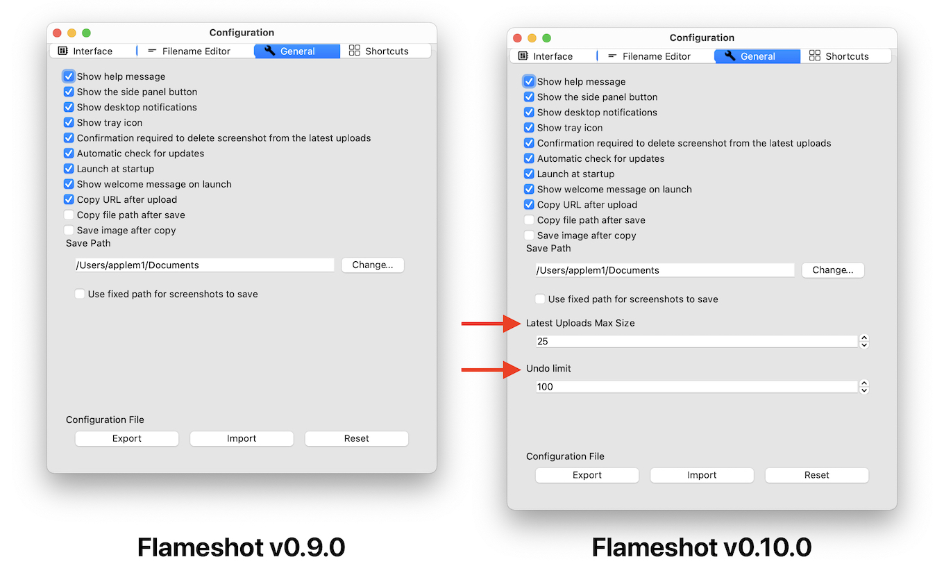 Flameshot v0.10.0 new settings
