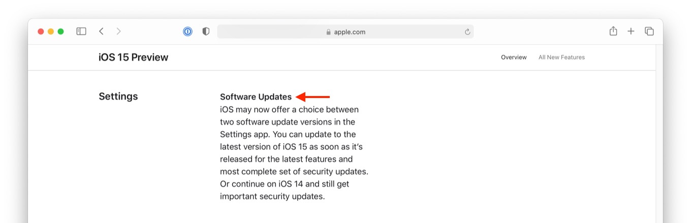 重要なセキュリティアップデートを利用しつつ、iOS 14を使い続けることもできます。