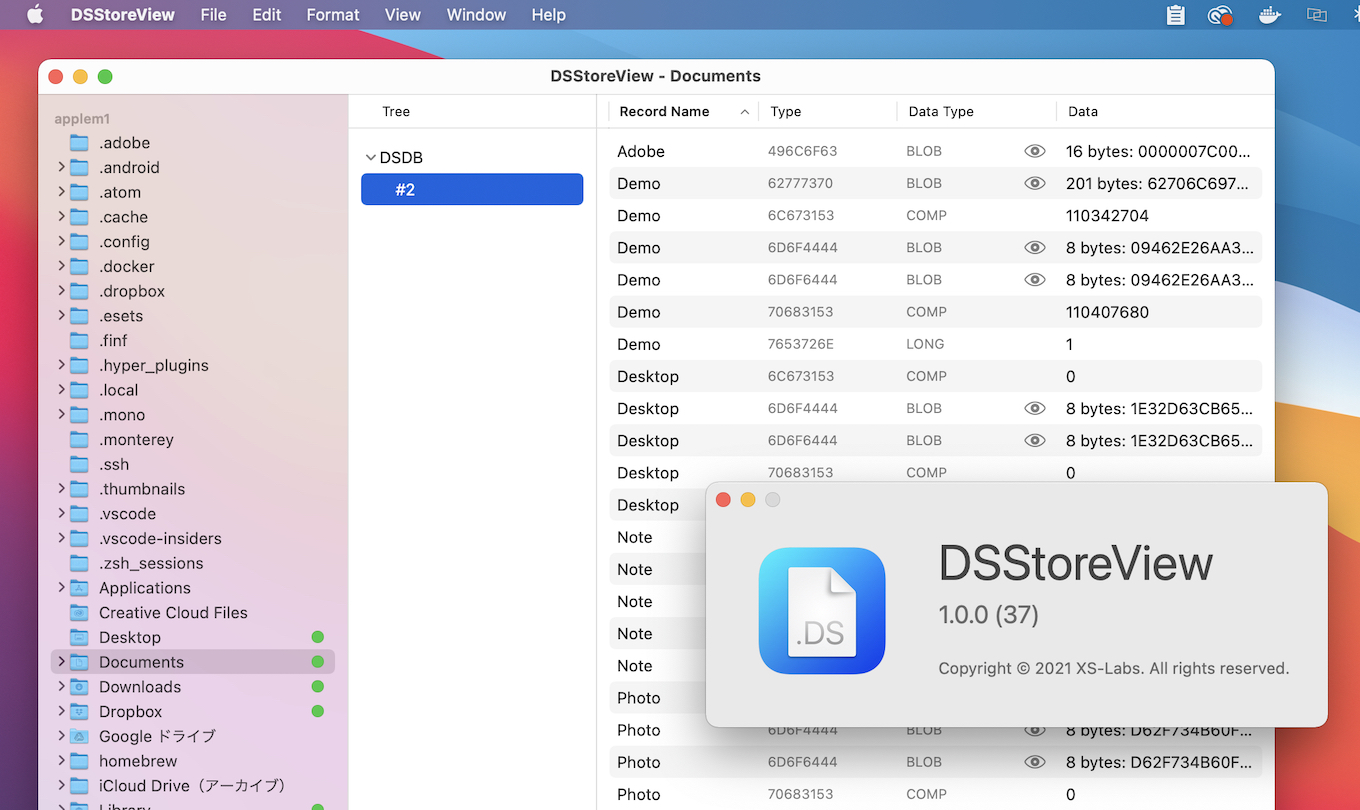 DSStoreView for Mac .DS_Store Viewer