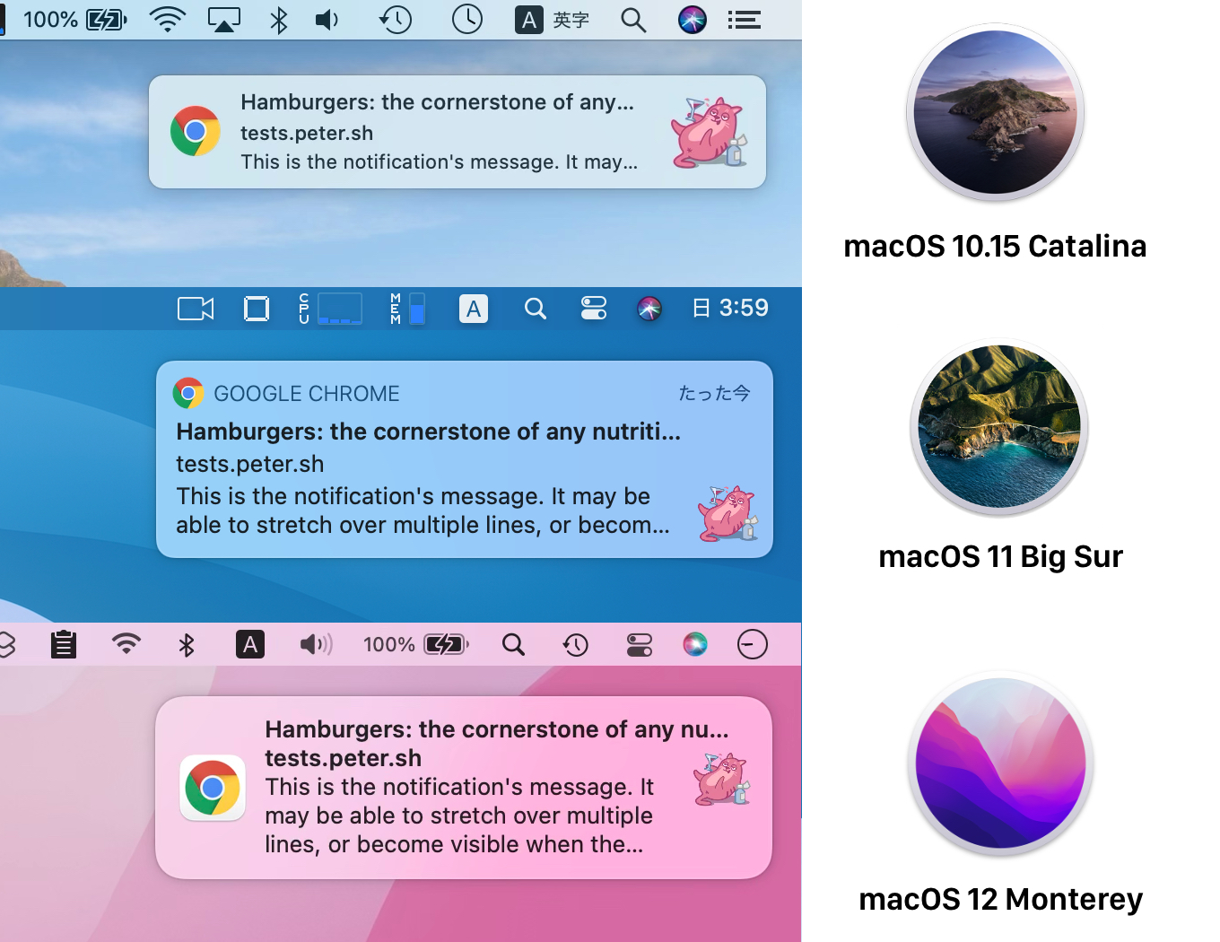 macOS 10.15 CatalinaとmacOS 11 Big Sur、macOS 12 Montereyの通知
