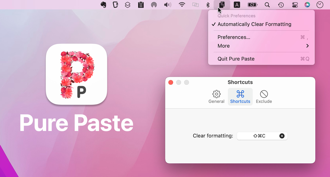 Pure Paste for Mac