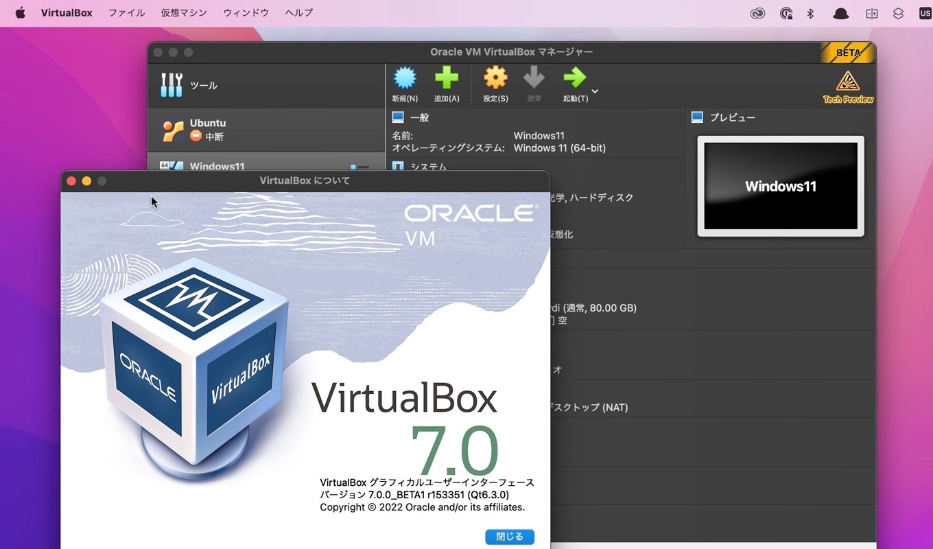 VirtualBox 7.0.0 BETA1ダークモード