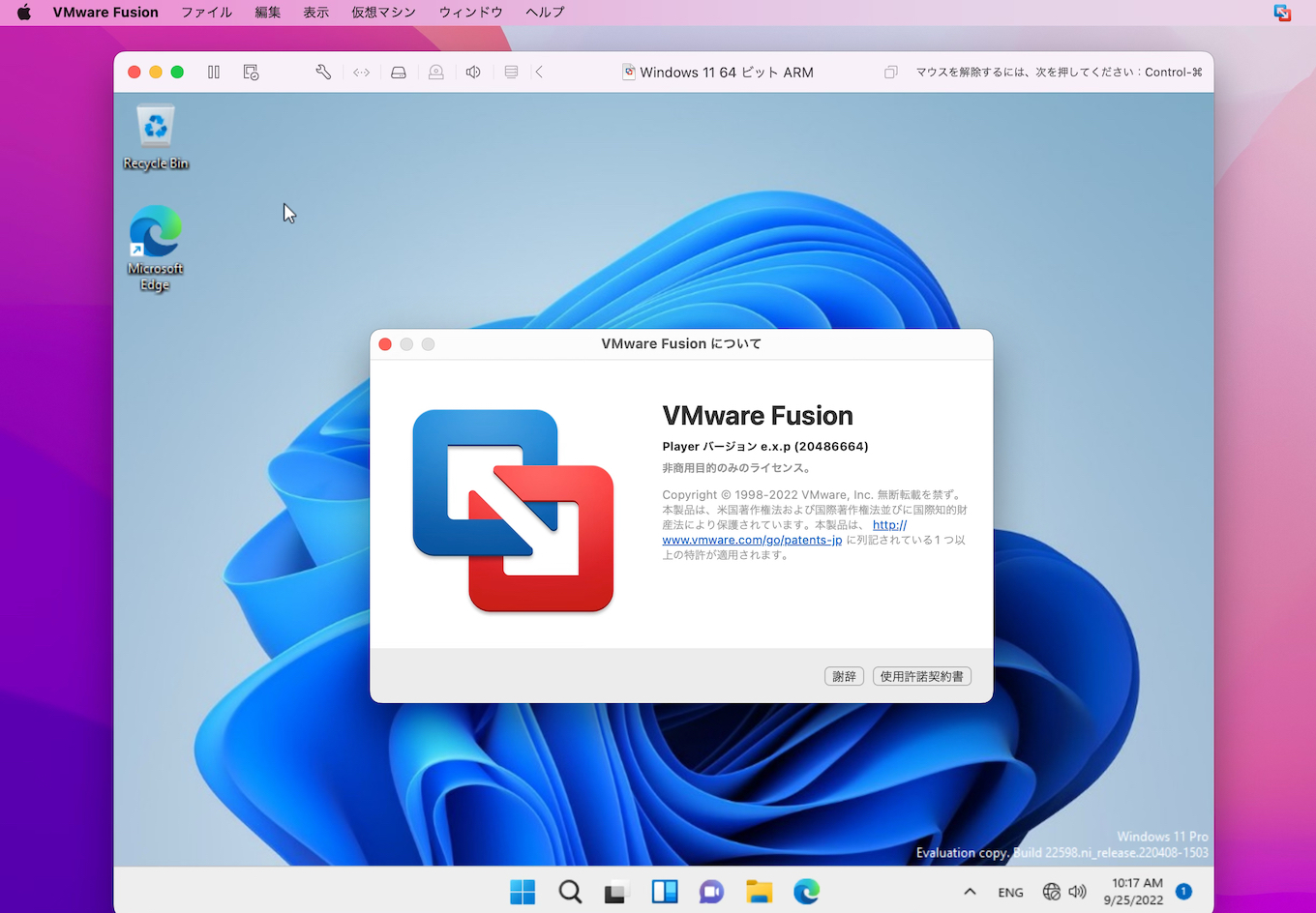 VMware Fusion Technology Preview II 22H2
