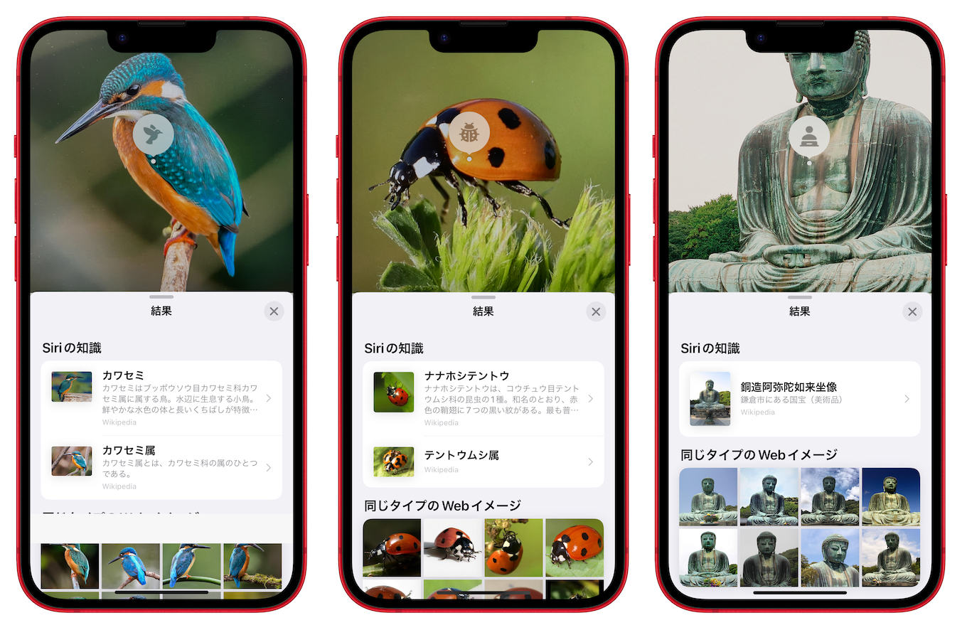 iOS 16のVisual Look Upで追加された鳥、昆虫、クモ、像