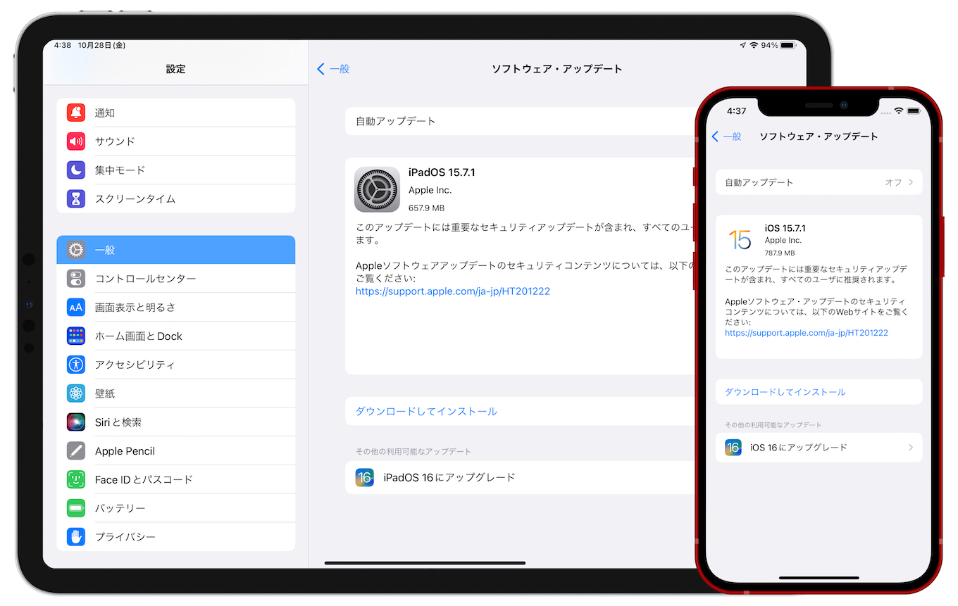 iOS 15.7.1 (19H117)