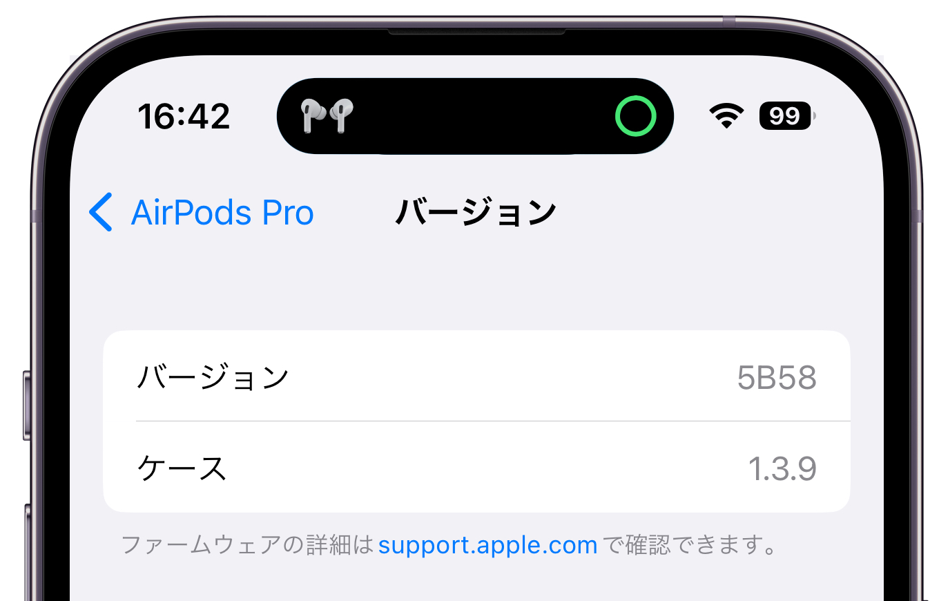 AirPods Pro Firmware 5B58