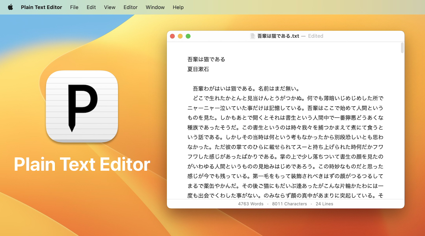 Plain Text Editor for Mac