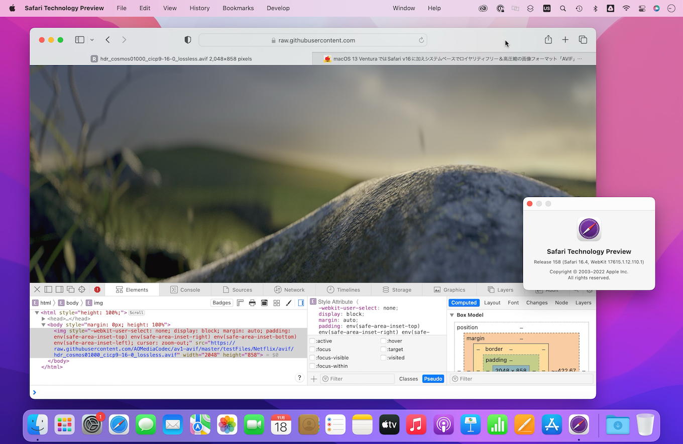 Safari Technology Preview v158 start AVIF on macOS 12 Monterey