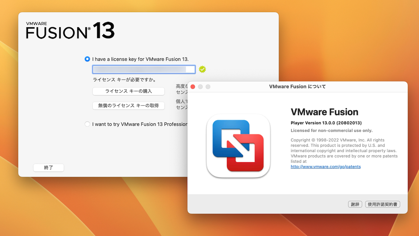 VMware Fusion v13 Player personal use fee