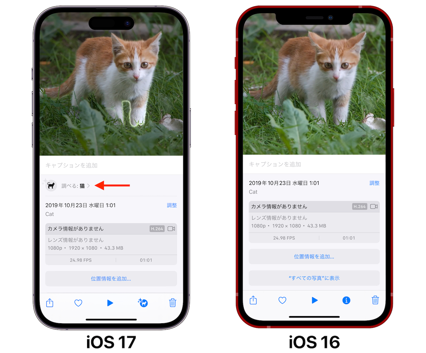 iOS 17では画像を調べる(Visual Look Up)が動画でも可能に