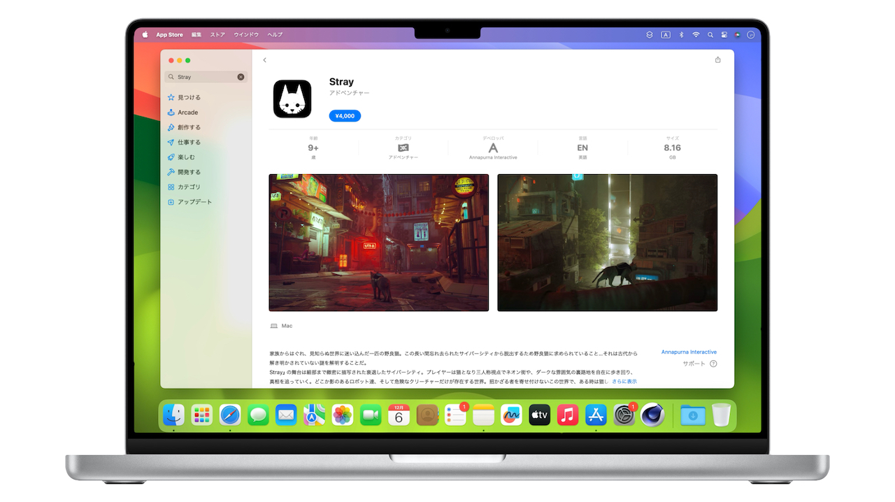 Stray for Mac App Store Version