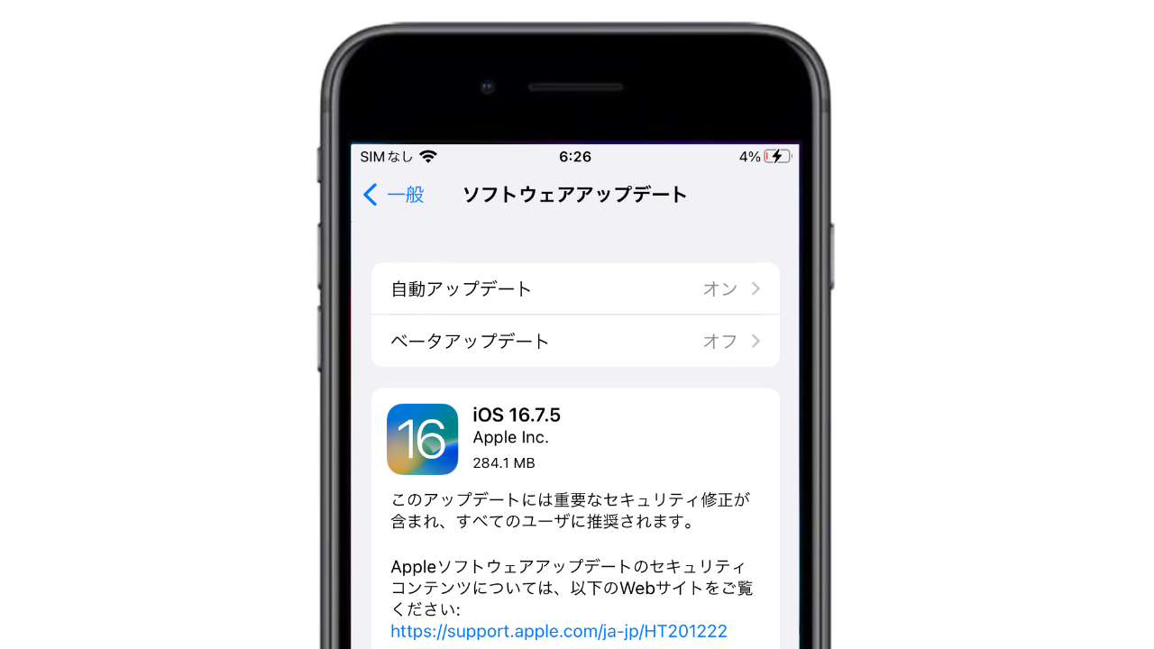 iOS 16.7.5 (20H307)