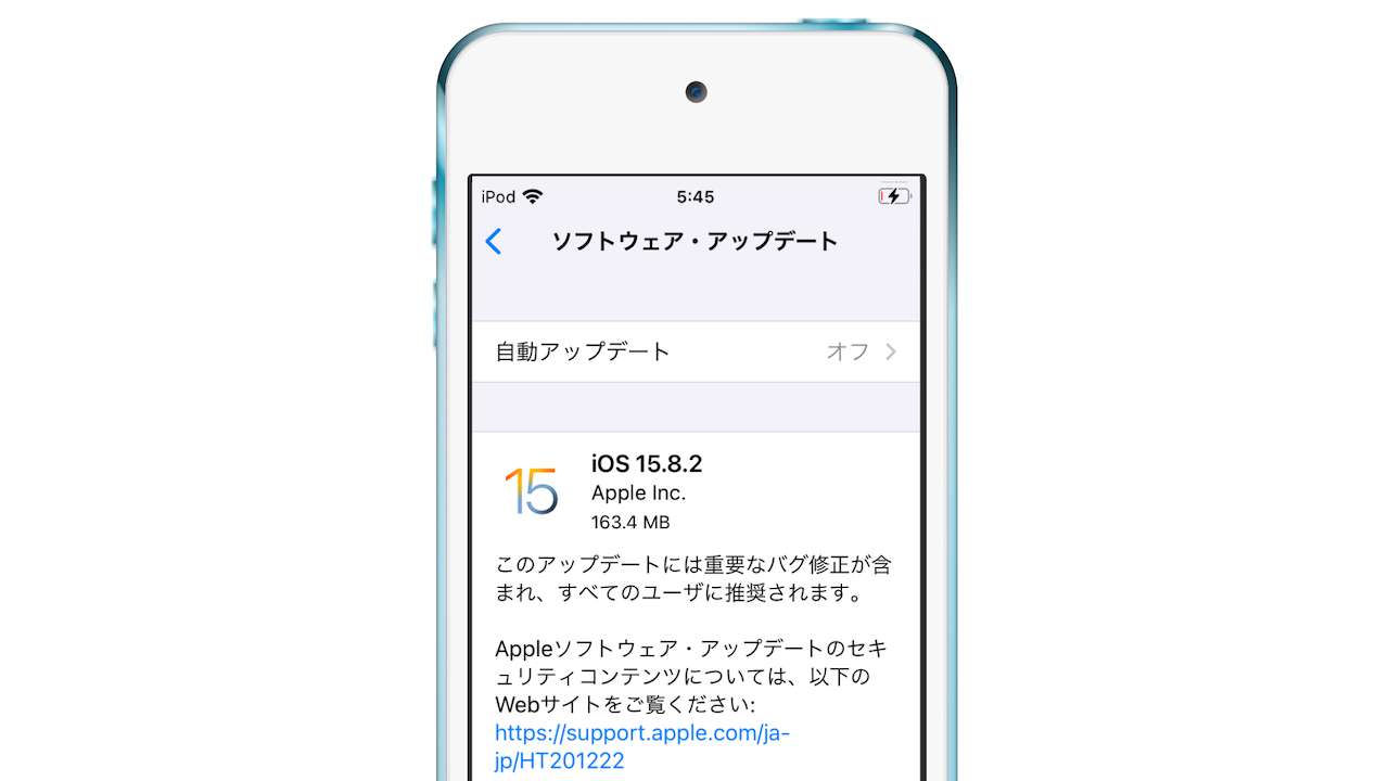 iOS 15.8.2 (19H384)
