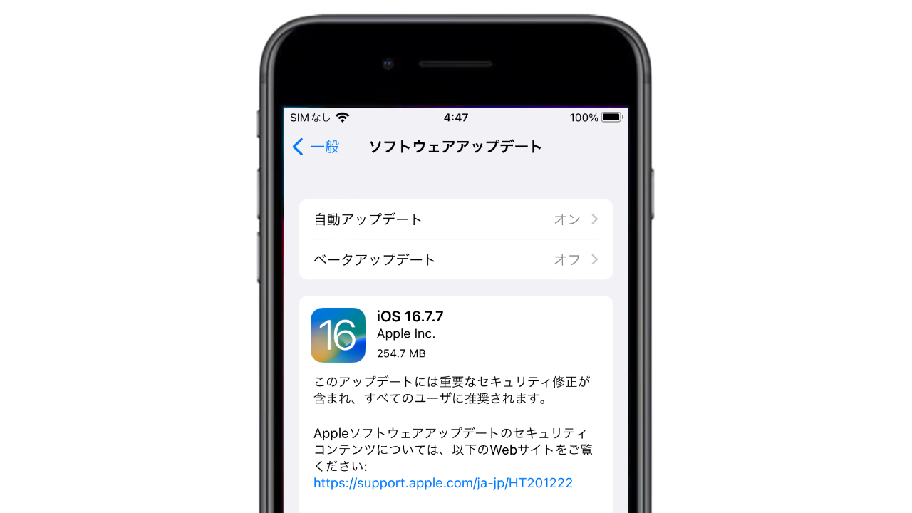 iOS 16.7.7 (20H330)